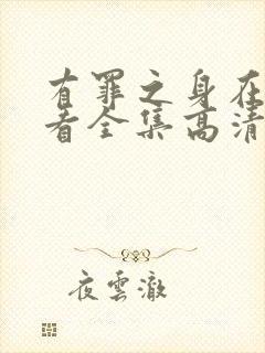 有罪之身在线观看全集高清免费