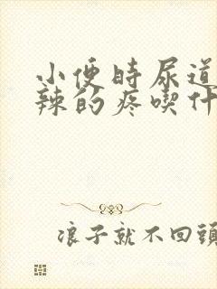 小便时尿道火辣辣的疼吃什么药