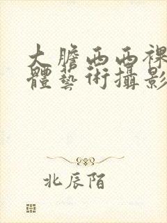 大胆西西裸体人体艺术摄影