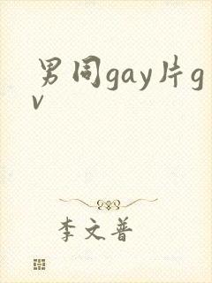 男同gay片gv