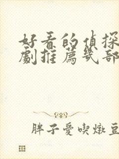 好看的侦探电视剧推荐几部