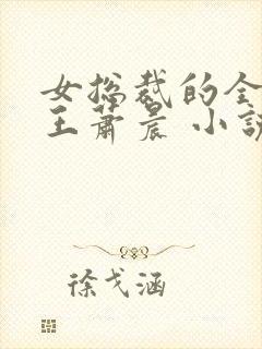 女总裁的全能兵王萧晨 小说