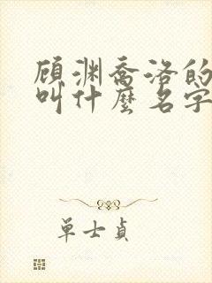 顾渊乔洛的小说叫什么名字