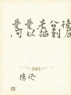 爱爱老公后面插,可以插到底吗