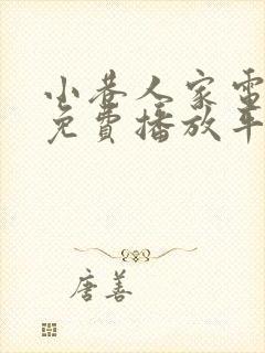 小巷人家电视剧免费播放平台