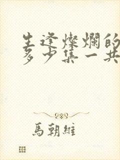 生逢灿烂的日子多少集一共