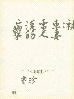 痴汉电车:被攻击的人妻