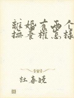 离婚有两个小孩抚养权怎样判定