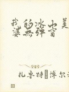 我的冰山美女老婆无弹窗封面