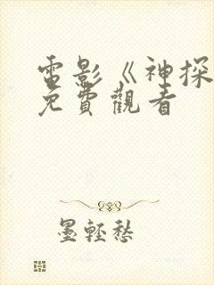 电影《神探2》免费观看