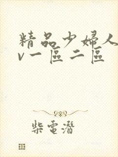 精品少妇人妻av一区二区封面