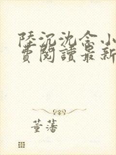 陆沉沈念小说免费阅读最新章节