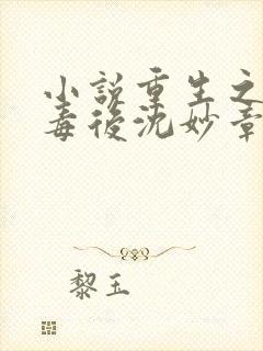 小说重生之将门毒后沈妙章节目录