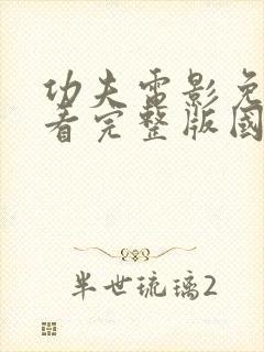 功夫电影免费观看完整版国语高清封面