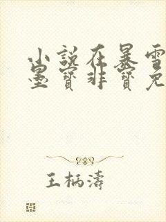 小说在暴雪时分墨宝非宝免费阅读原文封面