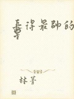 长得最帅的男明星