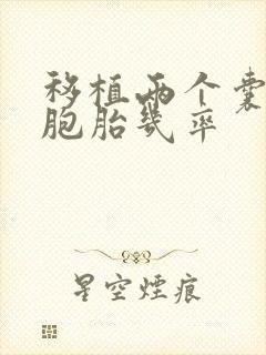 移植两个囊胚双胞胎几率