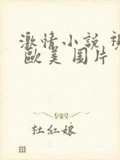 激情小说 视频 欧美 图片 另类在线观看