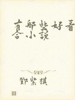 有哪些好看的百合小说