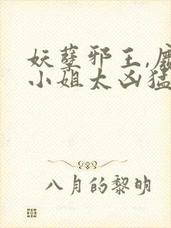 妖孽邪王,废材小姐太凶猛 完结版