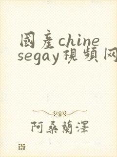 国产chinesegay视频网站