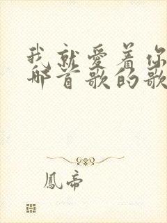 我就爱着你,是哪首歌的歌词