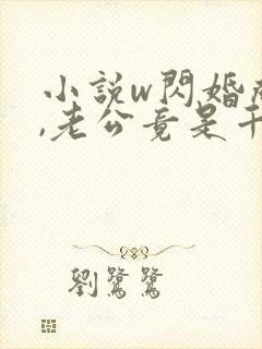 小说w闪婚成宠,老公竟是千亿大佬》