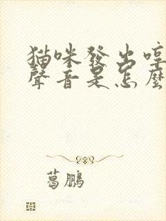 猫咪发出哼哼的声音是怎么回事