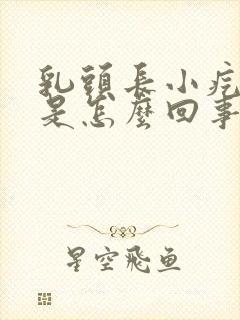 乳头长小疙瘩疼是怎么回事