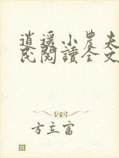 逍遥小农夫小农民阅读全文小说