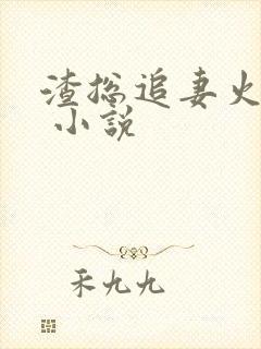 渣总追妻火葬场 小说