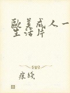 欧美成人一级性生活片封面