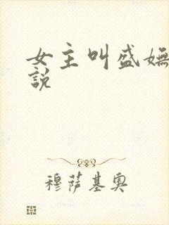 女主叫盛妩的小说