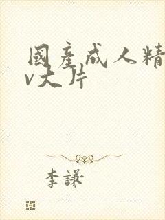 国产成人精品av大片