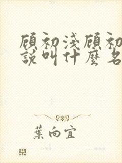 顾初浅顾初绾小说叫什么名字