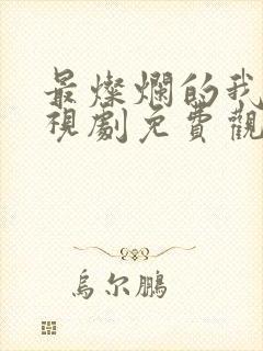 最灿烂的我们电视剧免费观看全集