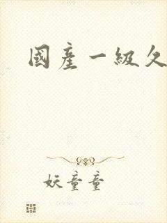 国产一级久久久封面
