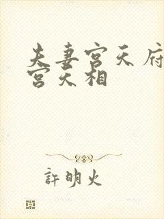 夫妻宫天府福德宫天相