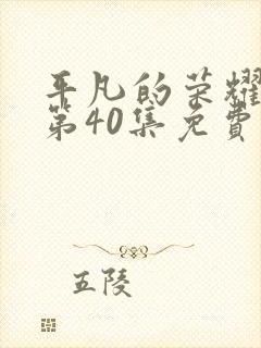 平凡的荣耀真人第40集免费观看封面