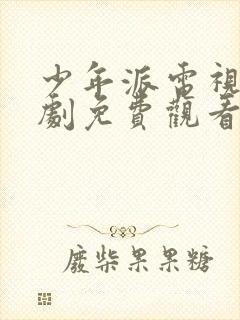 少年派电视连续剧免费观看全集