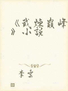 《武炼巅峰杨开》小说