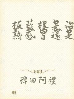 板蓝根是治疗风热感冒还是风寒感冒