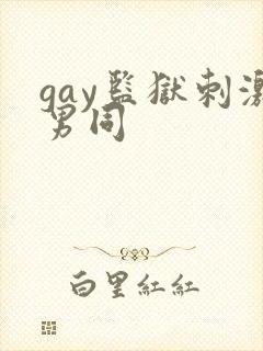 gay监狱刺激男同