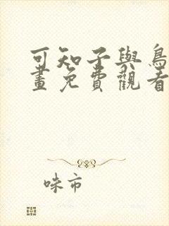 可知子与鸟君漫画免费观看