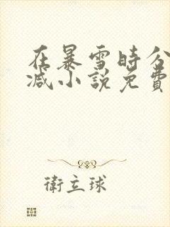 在暴雪时分未删减小说免费阅读