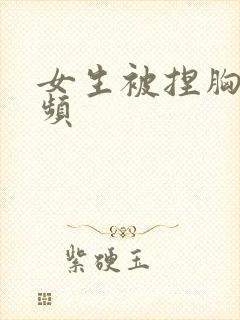 女生被捏胸的视频