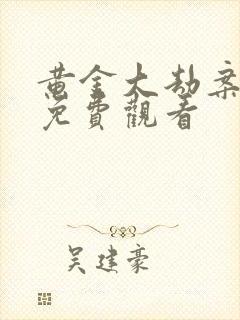 黄金大劫案高清免费观看