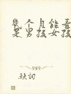 几个月能看出来是男孩女孩