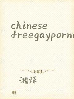 chinesefreegaypornvideo封面