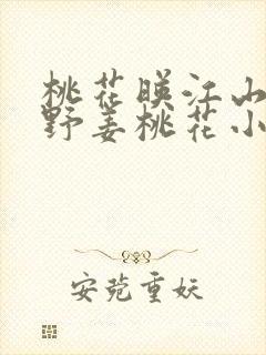 桃花映江山沈在野姜桃花小说全文免费阅读封面